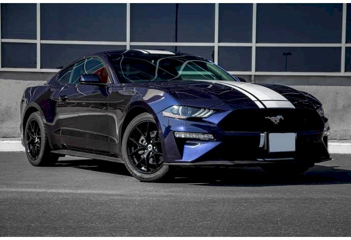 Ford Mustang rental