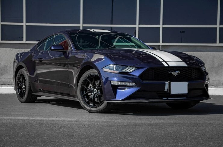 Ford Mustang rental